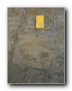 Click to enlarge this image